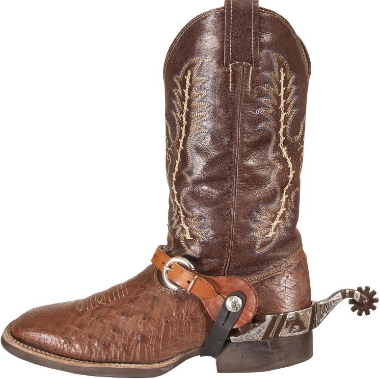 Ezy Ride Heal Strap Pair