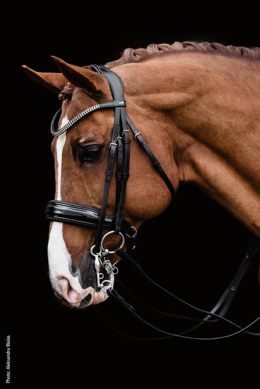 Schockemohle Monticelli Double Bridle