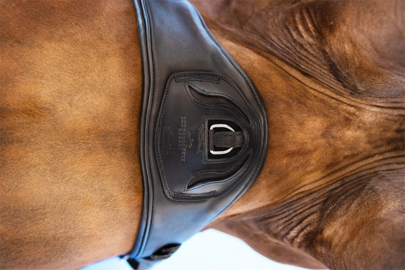 Schockemohle Dressage Girth SP Pittsburgh Stretch