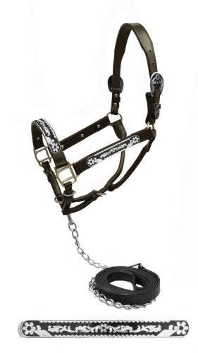 Showman Leather Show Halter with Daisy Flower