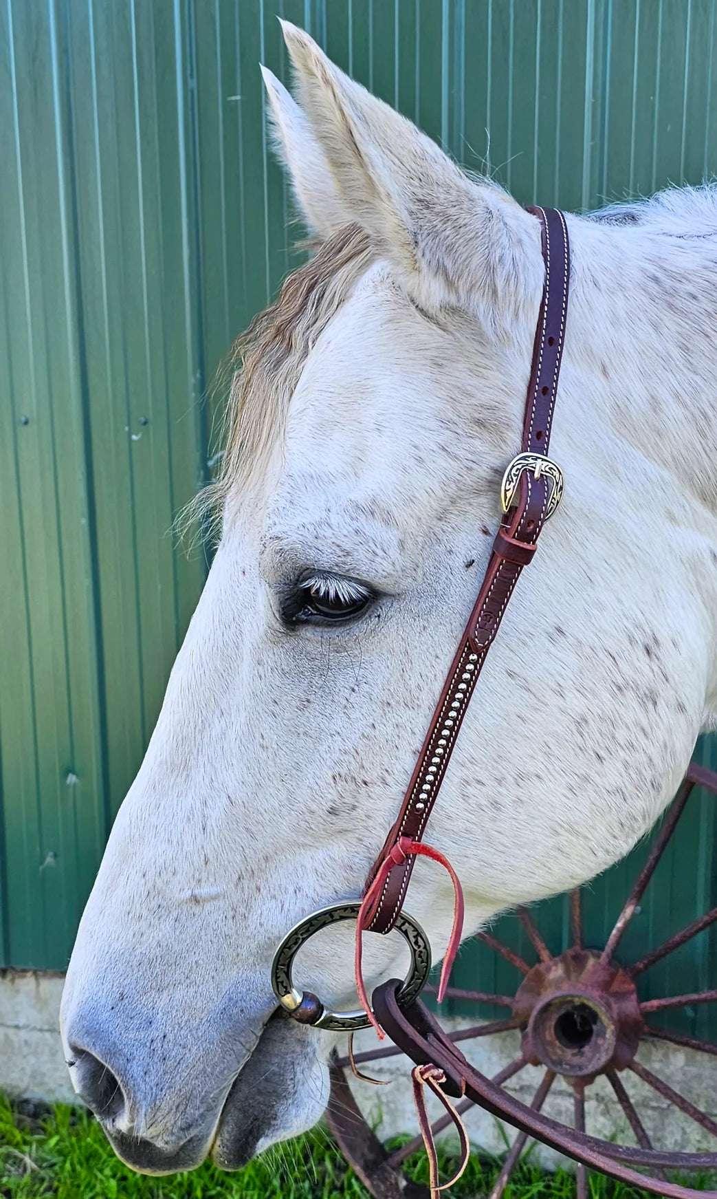 Smooth Like Cactus - Million Dollar Run USA Latigo Leather One Ear Bridle
