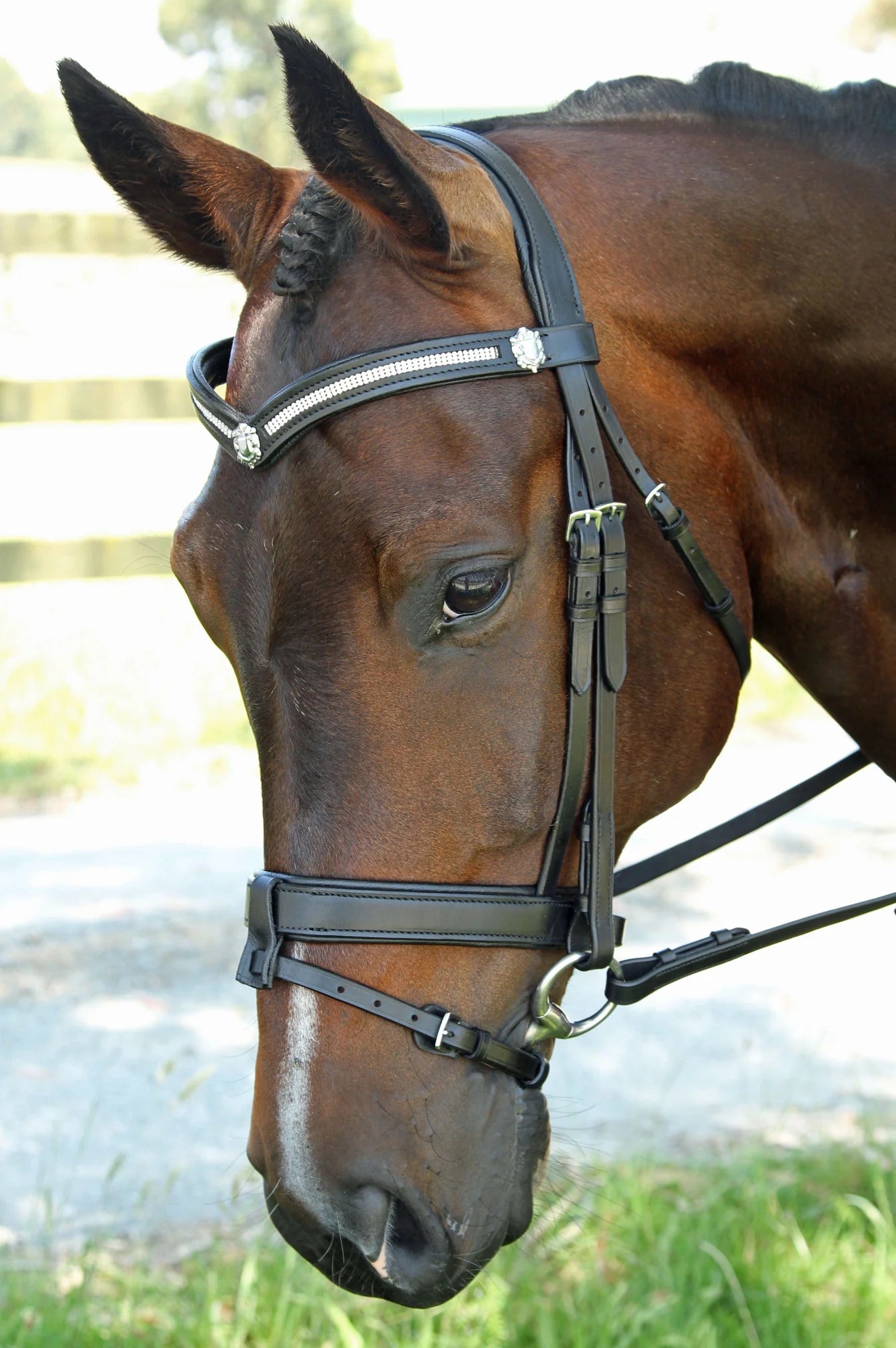 Flexible Fit 3 Row V with Shields Snaffle Bridle