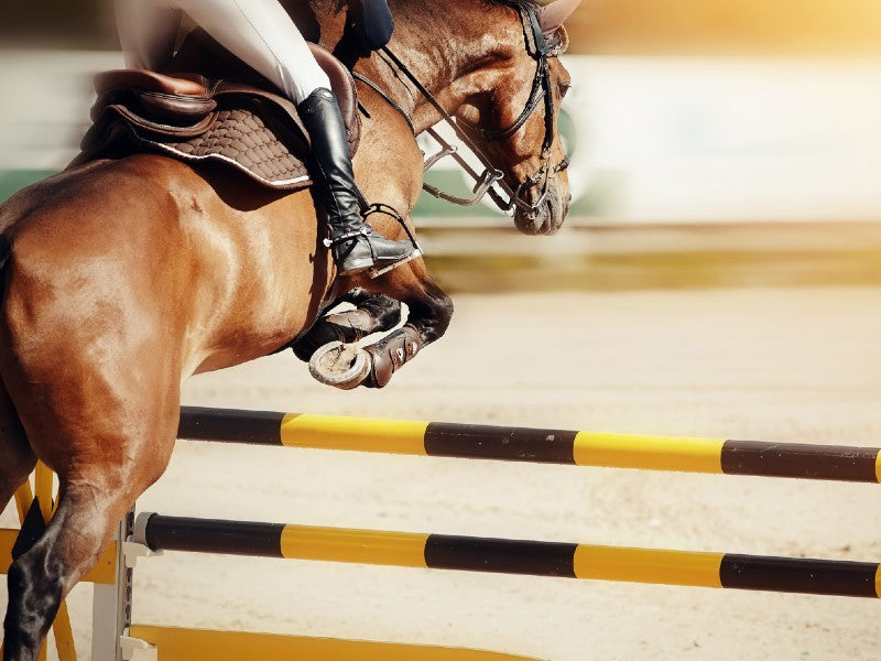 Equestrian wearing Saddleworld’s saddlery gear on a horse that is jumping over posts.