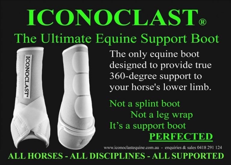 Iconoclast Orthopedic Support Boots Hind