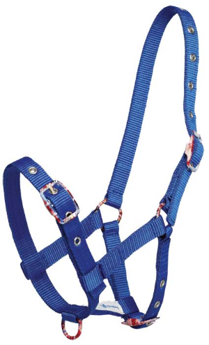 Fancy Buckle Foal Halter