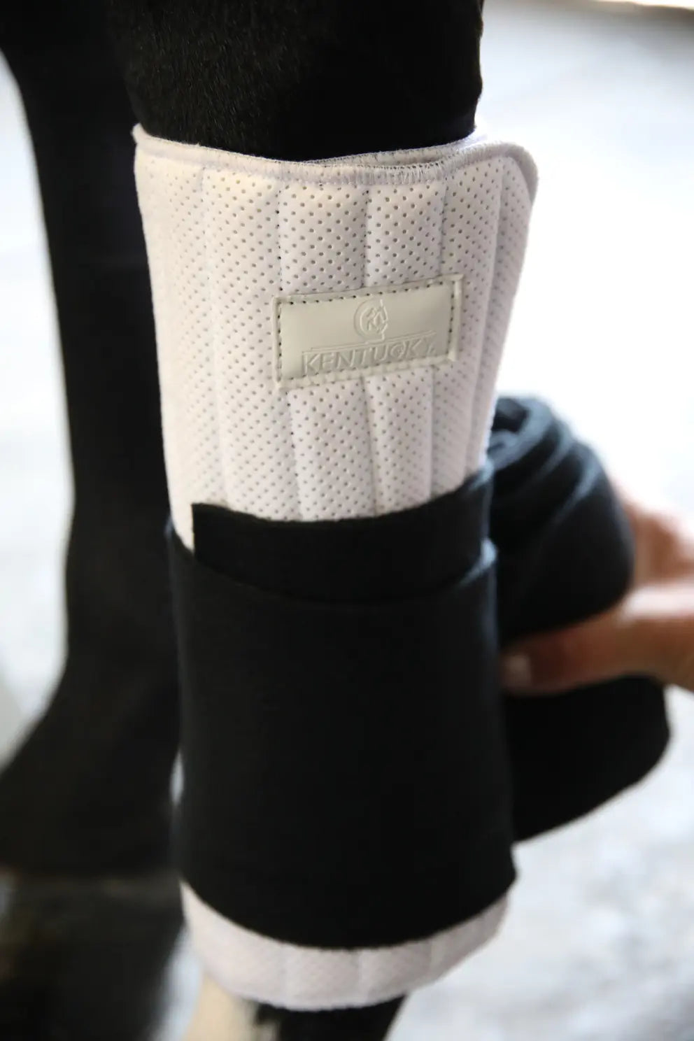 Kentucky Horsewear Absorb Wrap Set of 4