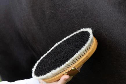 Kentucky Overall Brush Body Shine