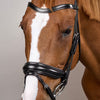 Dyon Crank Noseband Bridle