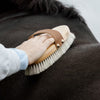 Kentucky Overall Brush Body Shine