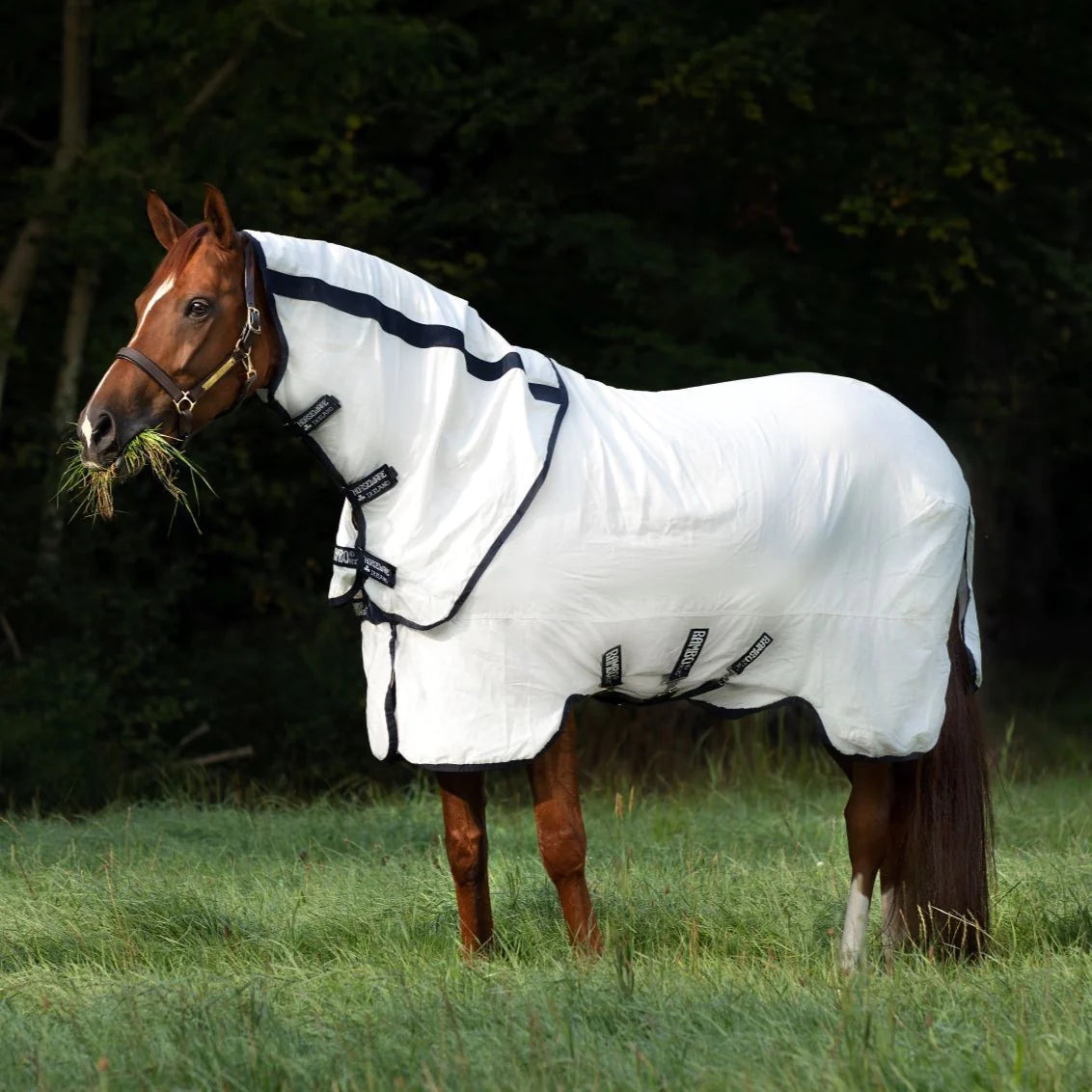 Rambo Natura Summer Sheet