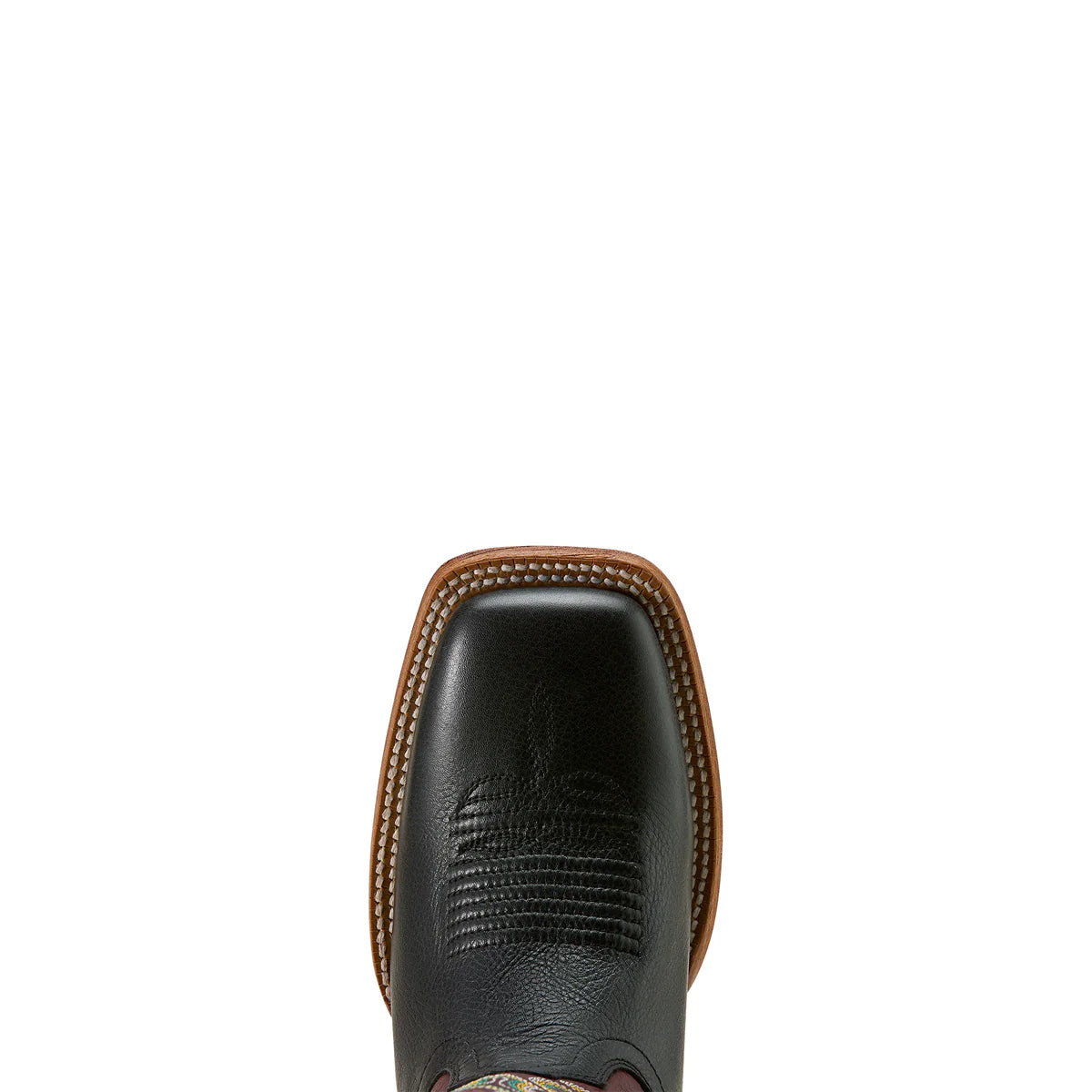 Ariat Wms County Lane WST Basic Black/Deep Purple | Boots - Ladies Ariat | Saddleworld Ipswich