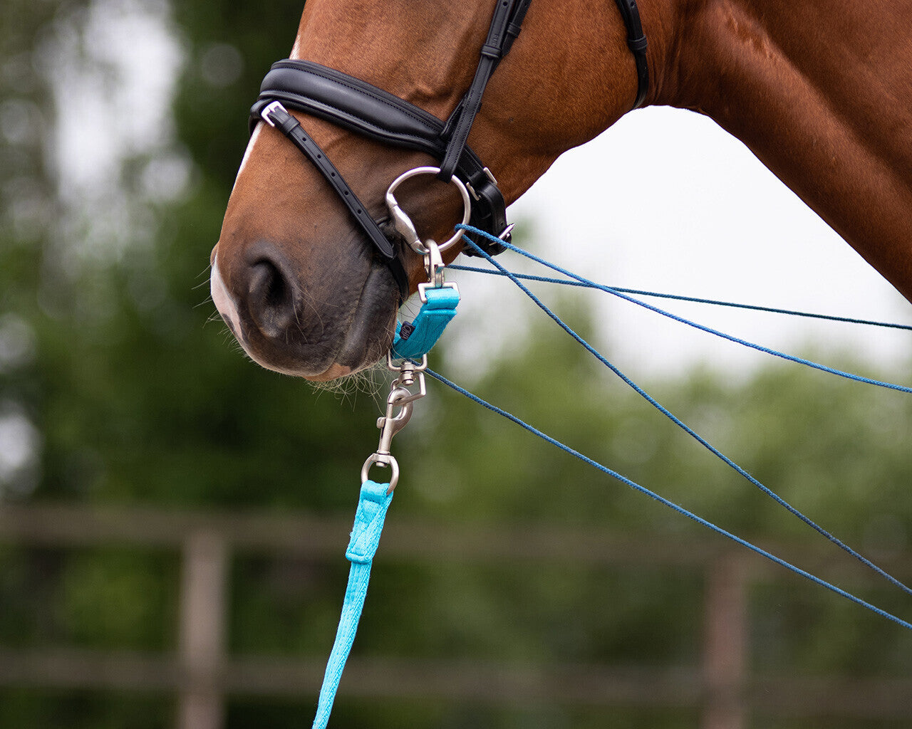 QHP Lunge Attachment