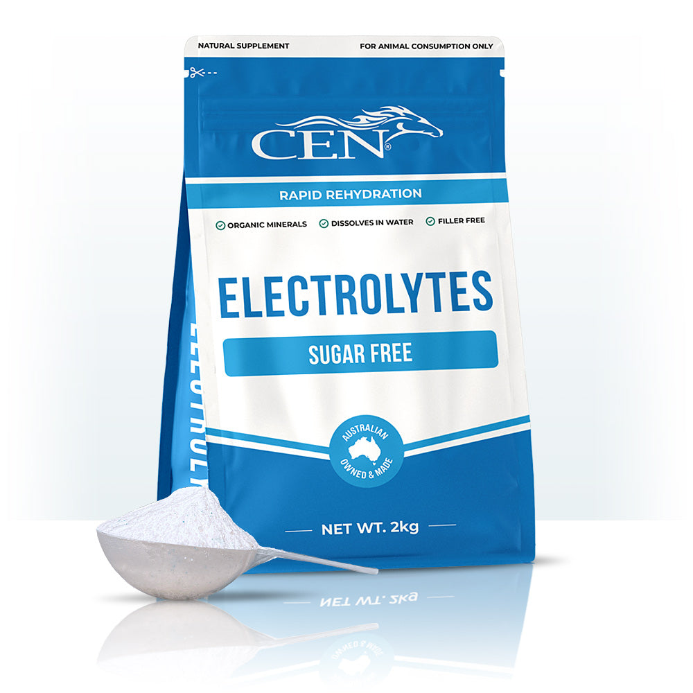 CEN Complete Electrolyte | Stable Supplies - Health | Saddleworld Ipswich
