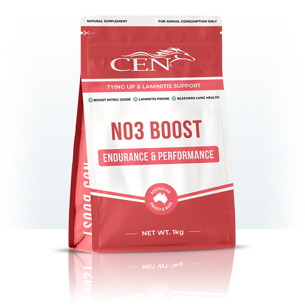 CEN NO3 Boost | Stable Supplies - Health | Saddleworld Ipswich