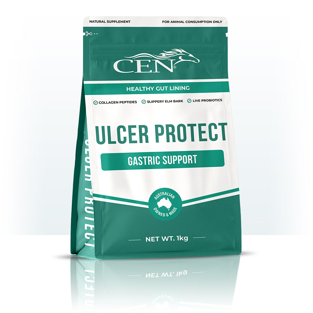 CEN Ulcer Protect | Horse Supplies - Health | Saddleworld Ipswich