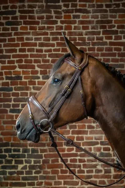 Dy'On Anatomic Flash Noseband Bridle