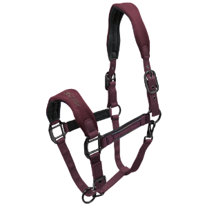 Dazzle Halter | Horse SUpplies - Halters and Leads | Saddleworld Ipswich