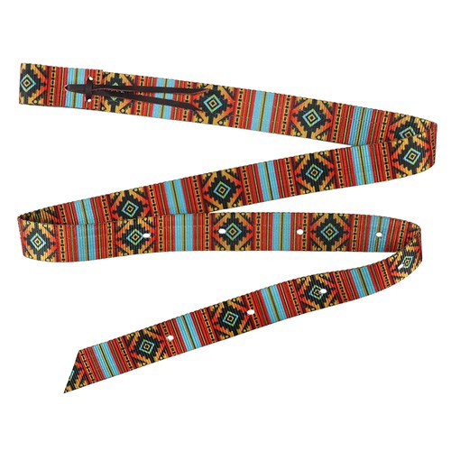 Fort Worth Printed 1 Ply Tie Strap Nicoma 1.75in x 70in/177cm