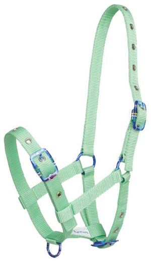 Fancy Buckle Foal Halter | Horse Supplies - Halters and Leads | Saddleworld Ipswich