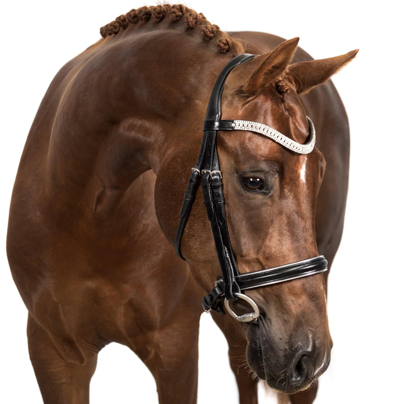 Flexible Fit Premium Black Snaffle Bridle - Elegance | horse SUpplies - Bridle | Saddleworld Ipswich