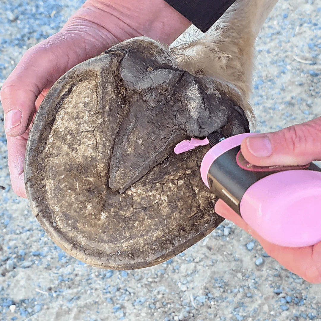 The Hoof Co - Hoof IX Pink Squeezeable Hoof Liquid