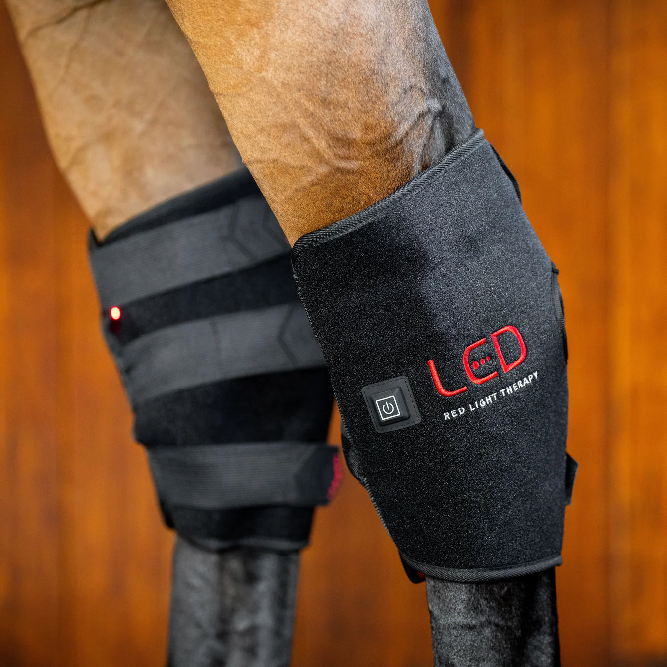 Horseware LED Red Light Therapy Hock Boot | Horse Supplies - Horse Boots | Saddleworld Ipswich