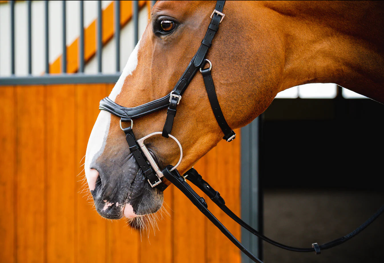 Horseware Micklem 2 Deluxe Competition Bridle | Horse Supplies - Bridle | Saddleworld Ipswich