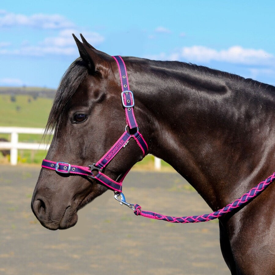 Eurohunter Emb Comfort Halter & Lead