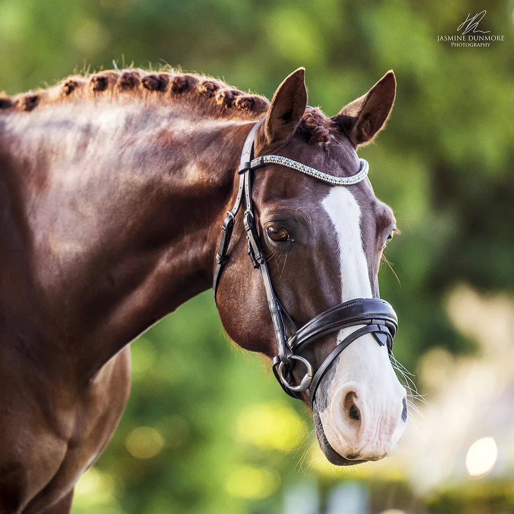 Lumiere Equestrian Anastasia Italian Leather Anatomic Bridle With Nappa Reins