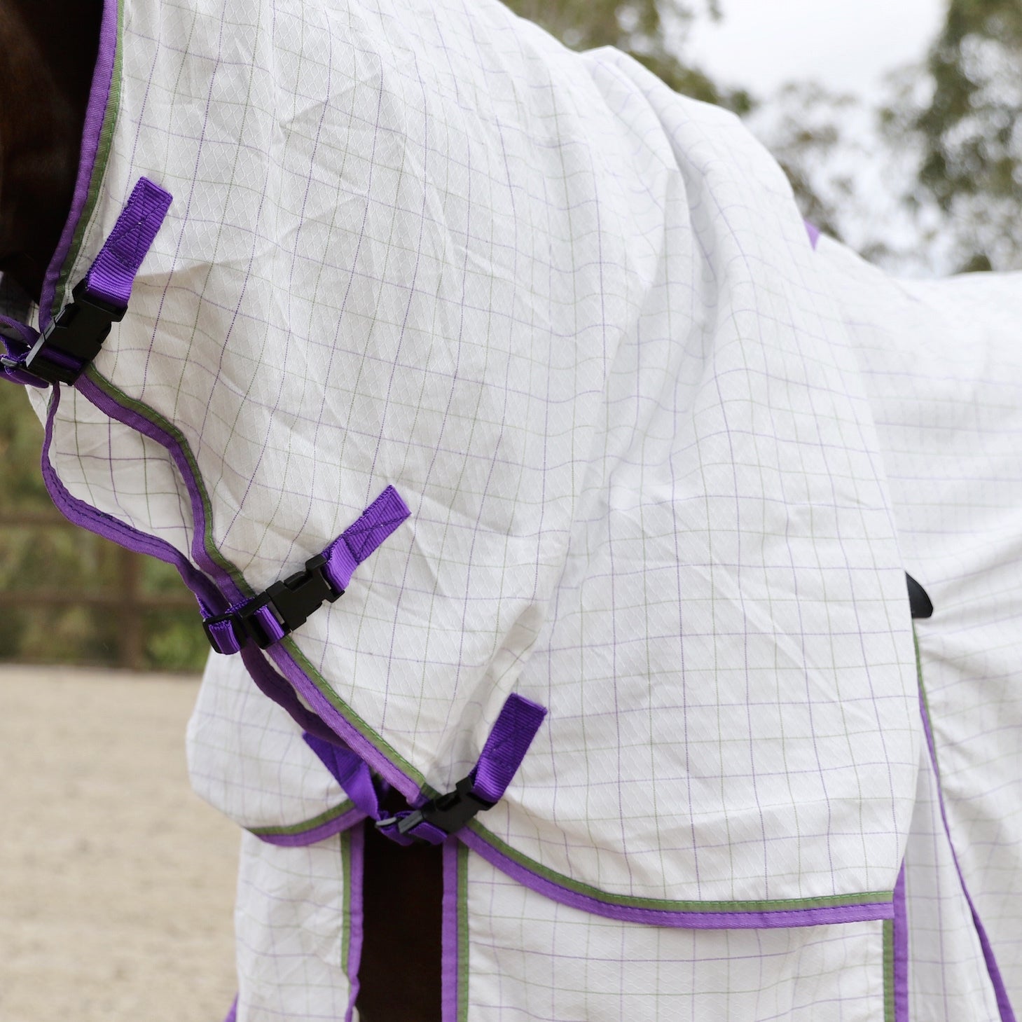 Capriole Light Summer Combo