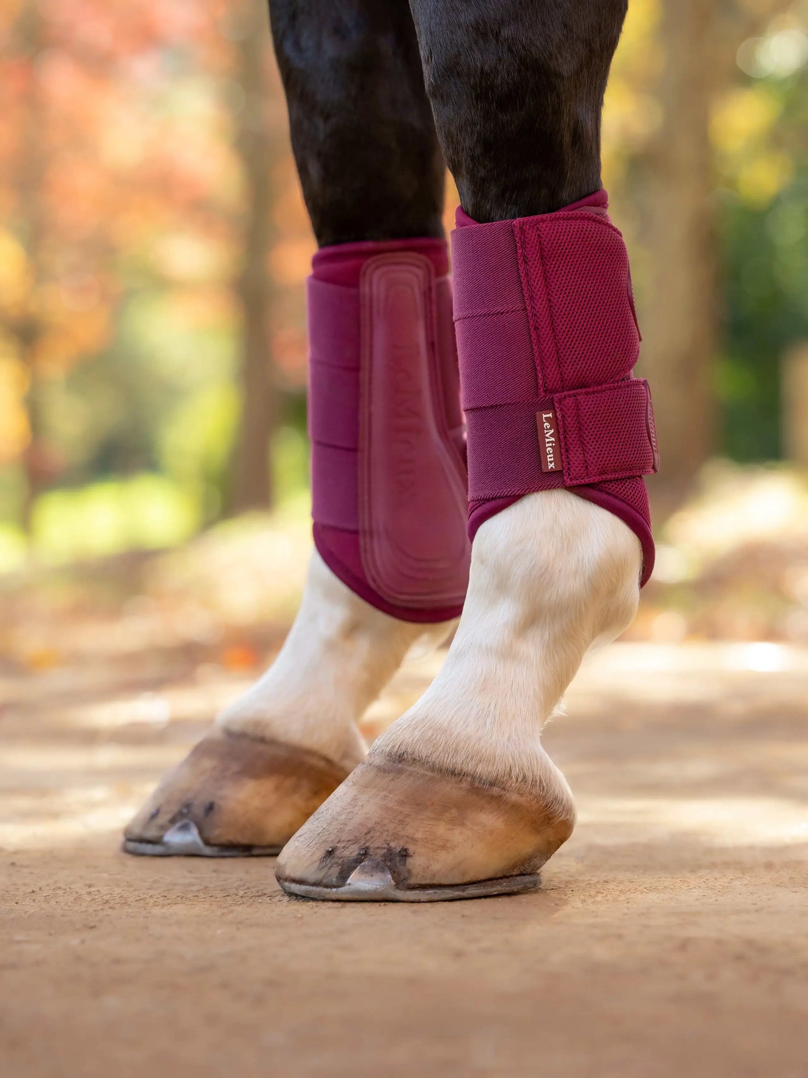 LeMieux Arika Mesh Brushing Boots | Horse Supplies - Horse Boots | Saddleworld Ipswich