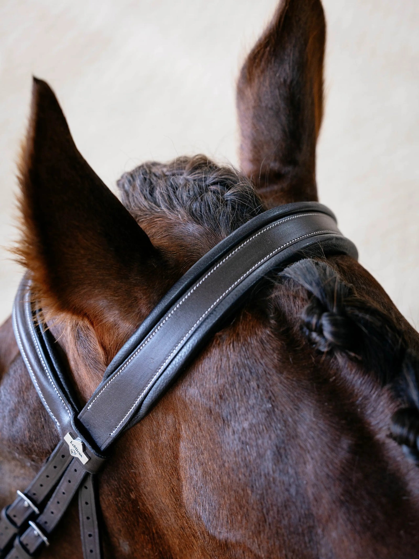 LeMieux Arika Split Noseband Bridle | Horse Supplies - Bridle | Saddleworld Ipswich