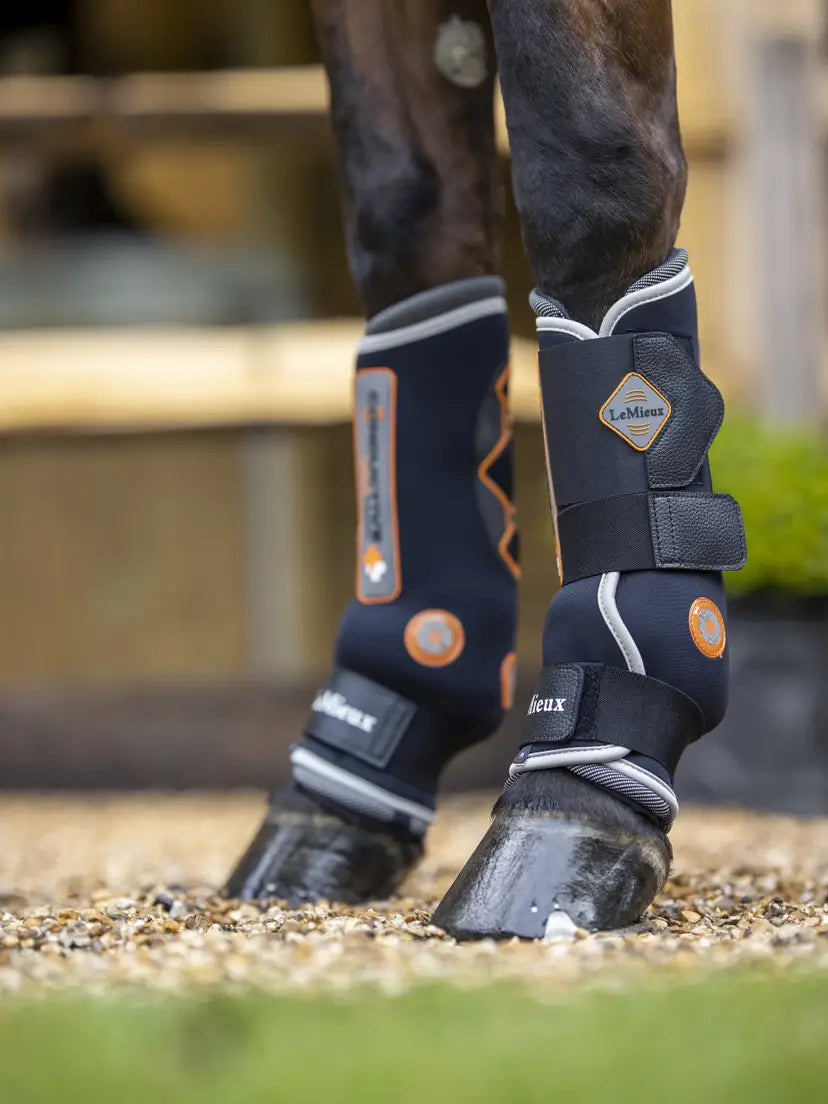 LeMieux Conductive Magno Boots | Horse SUpplies - Horse Boots | Saddleworld Ipswich