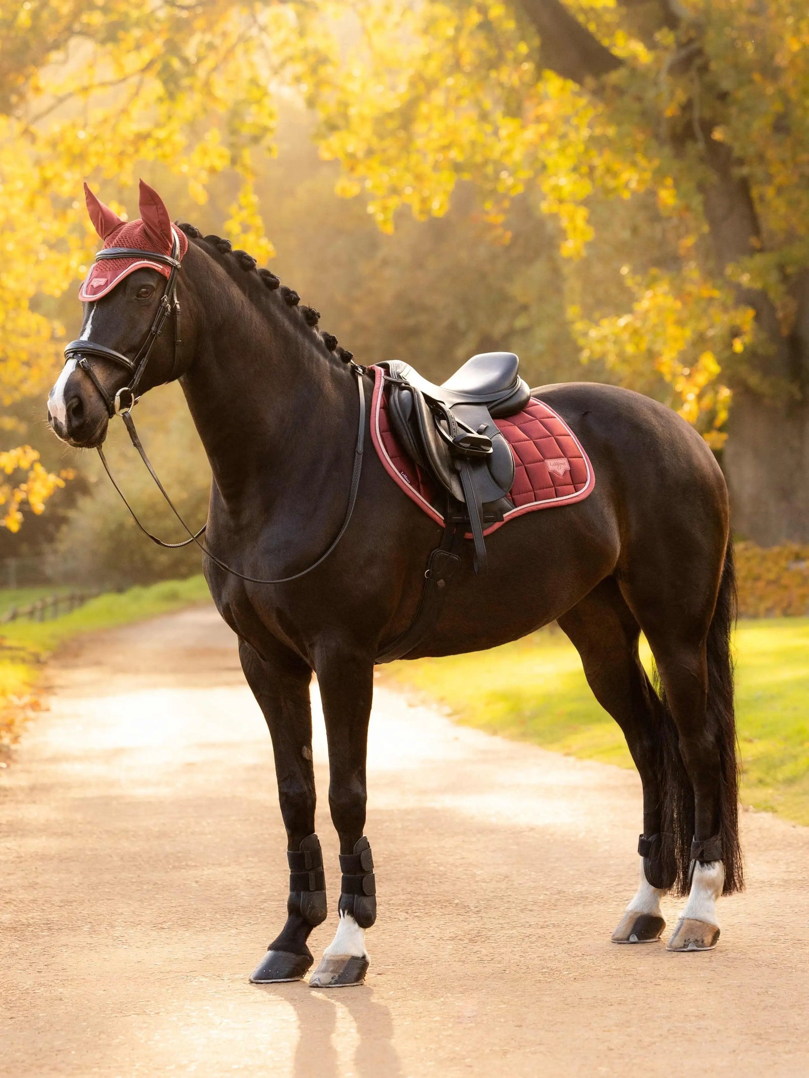 LeMieux Loire Classic Close Contact Square | HOrse Supplies - Saddle Cloth | Saddleworld Ipswich