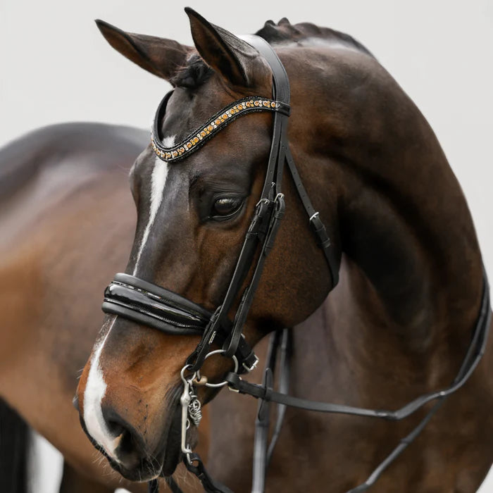 Lumiere Ariana Double Bridle