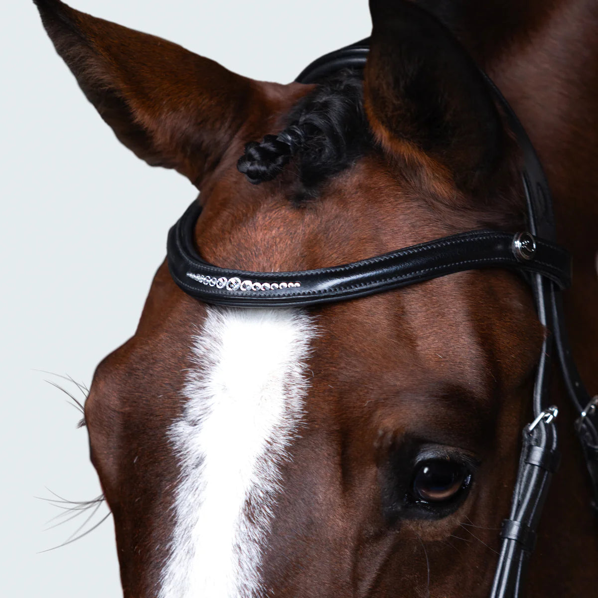 Lumiere Stella Bridle | Horse Supplies - bridle | saddleworld Ipswich