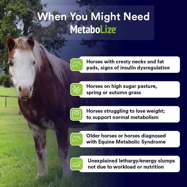 Poseidon MetaboLize