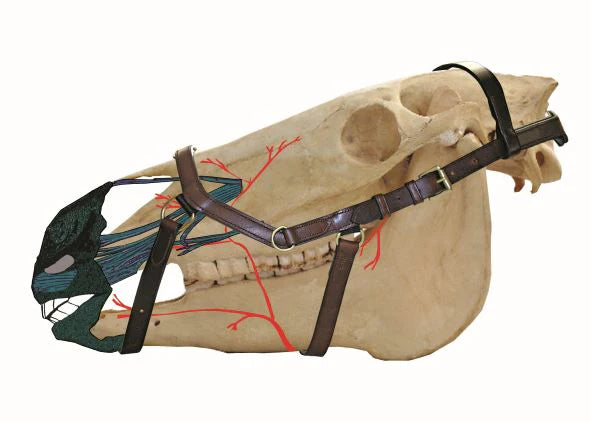 Horseware Micklem 2 Diamante Competition Bridle