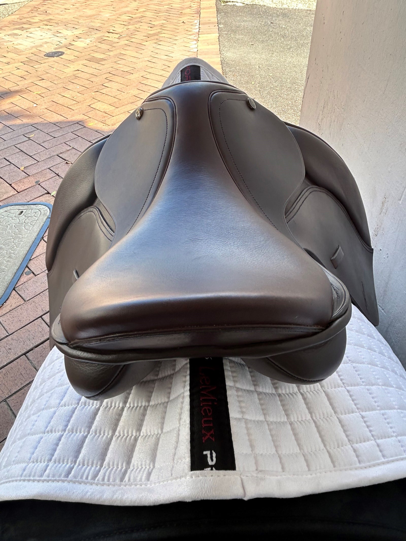 Ex-Demo Trainers Master Pony