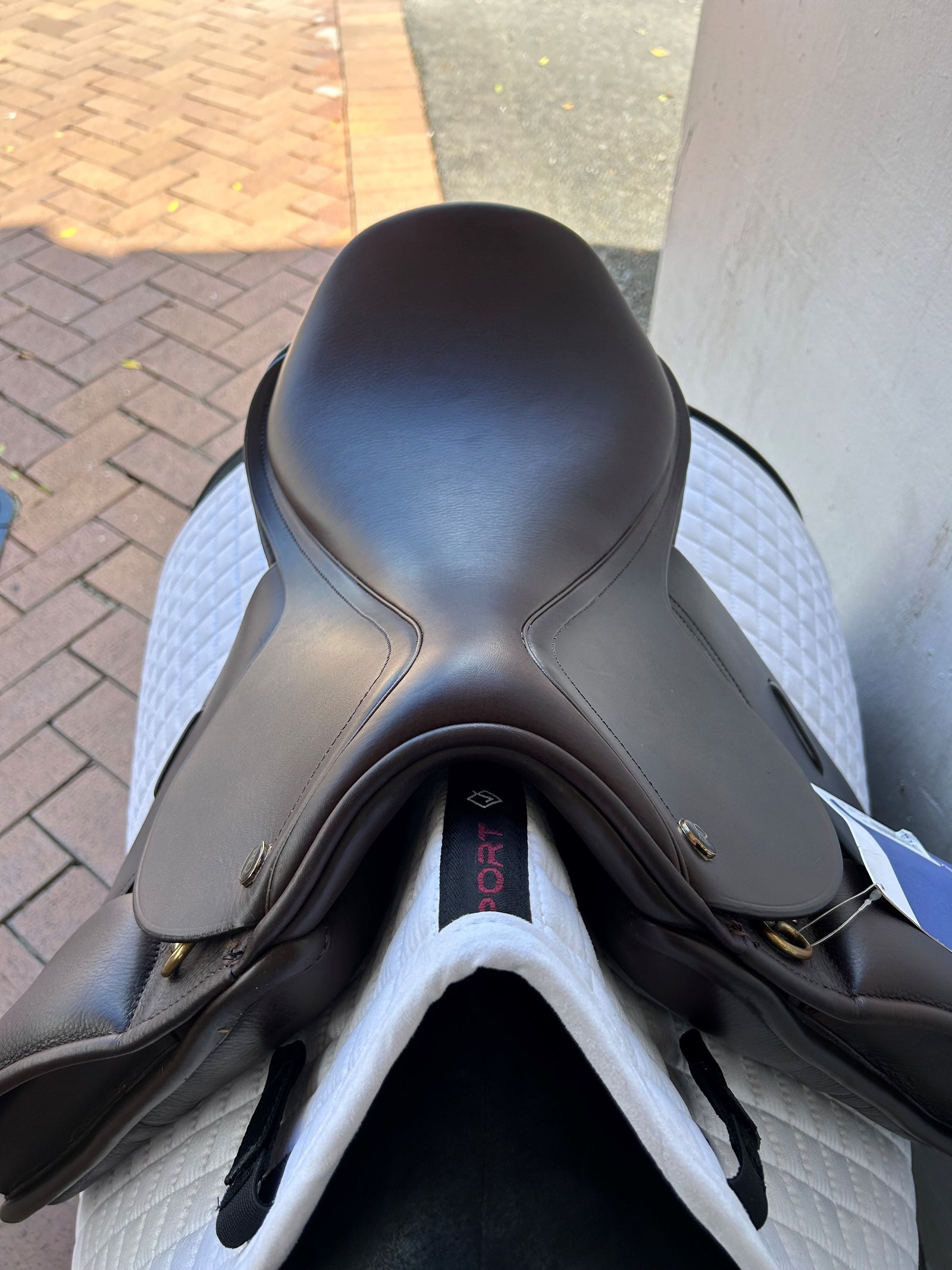 Ex-Demo Trainers Master Pony