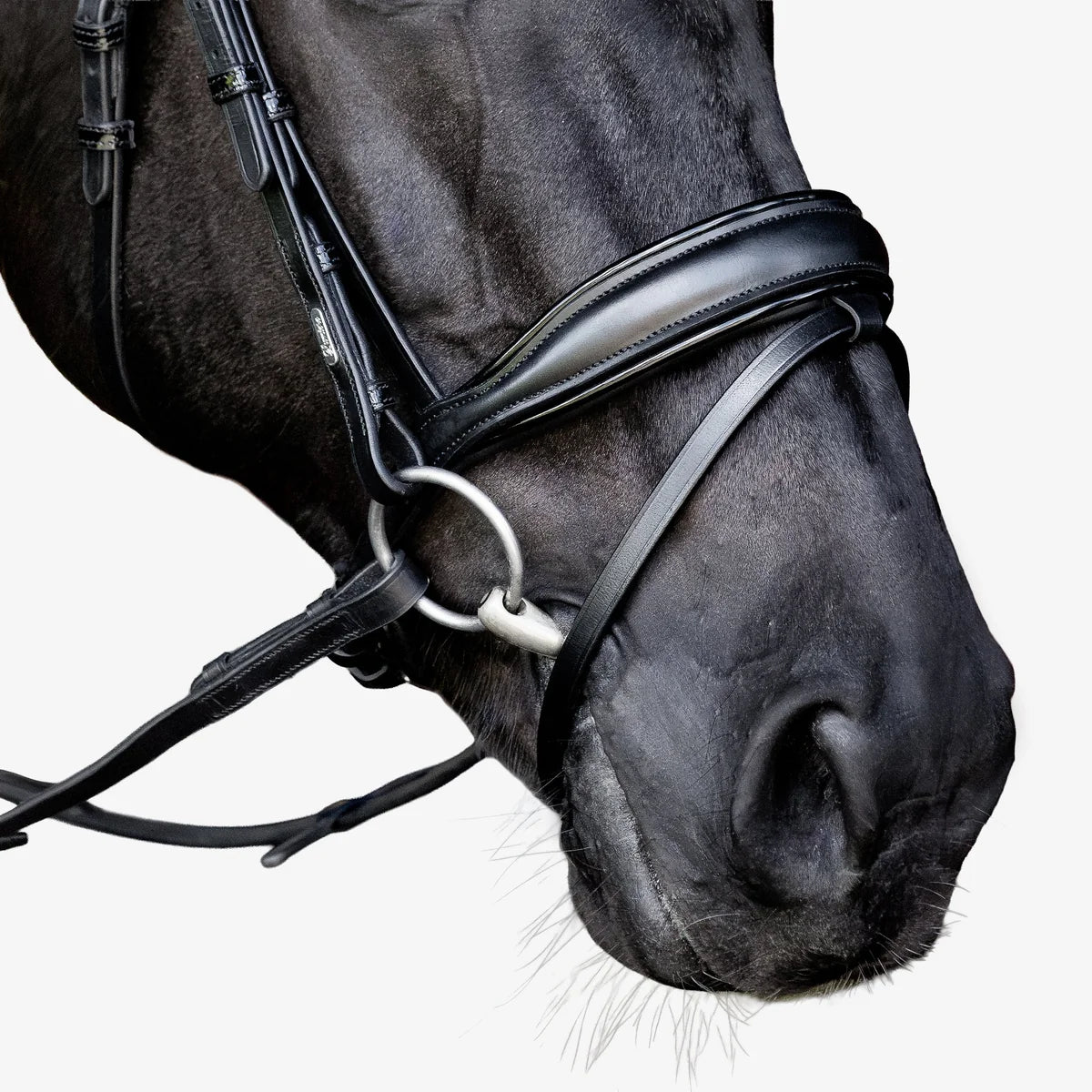 Lumiere Penny Bridle