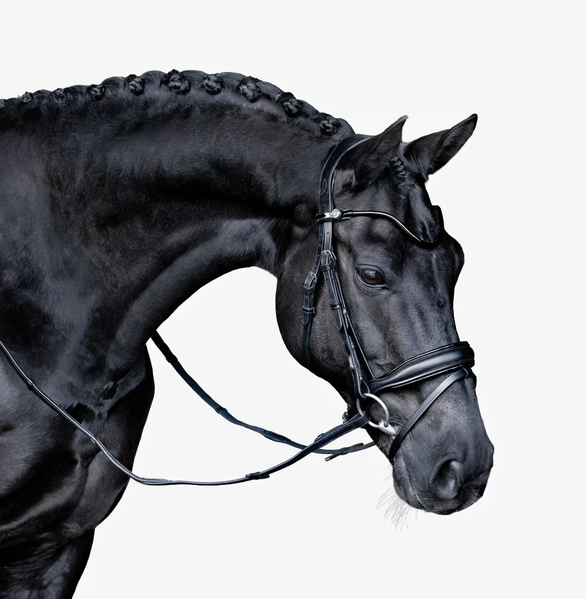 Lumiere Penny Bridle