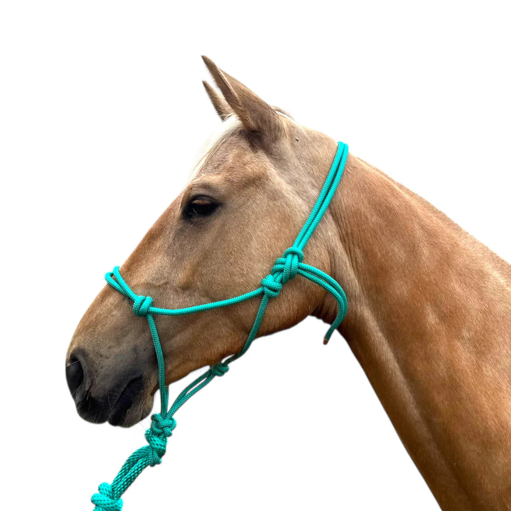 Toprail Knotted Rope Halter and Lead