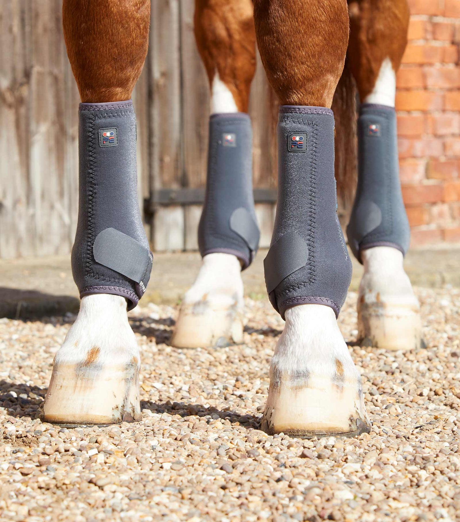 Premier Equine Air-Tech Sports Medicine Boots | Horse Supplies - Horse Boots | Saddleworld Ipswich