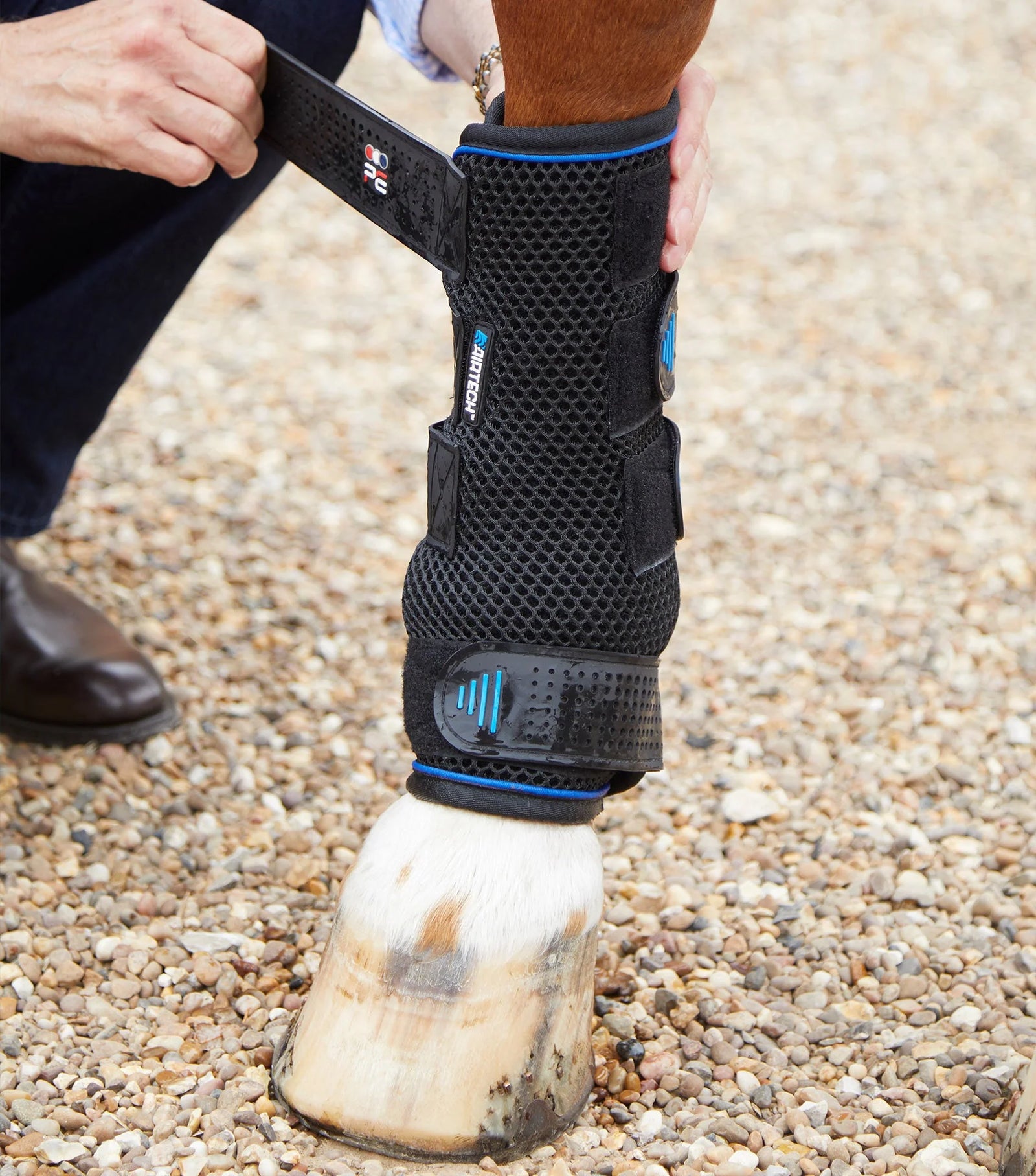Premier Equine Cold Water Compression Boots | Horse Supplies - Horse Boots | Saddleworld Ipswich