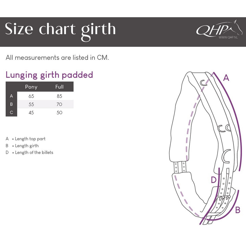 QHP Lunging Girth Padded | Horse Supplies - Lunge | Saddleworld Ipswich