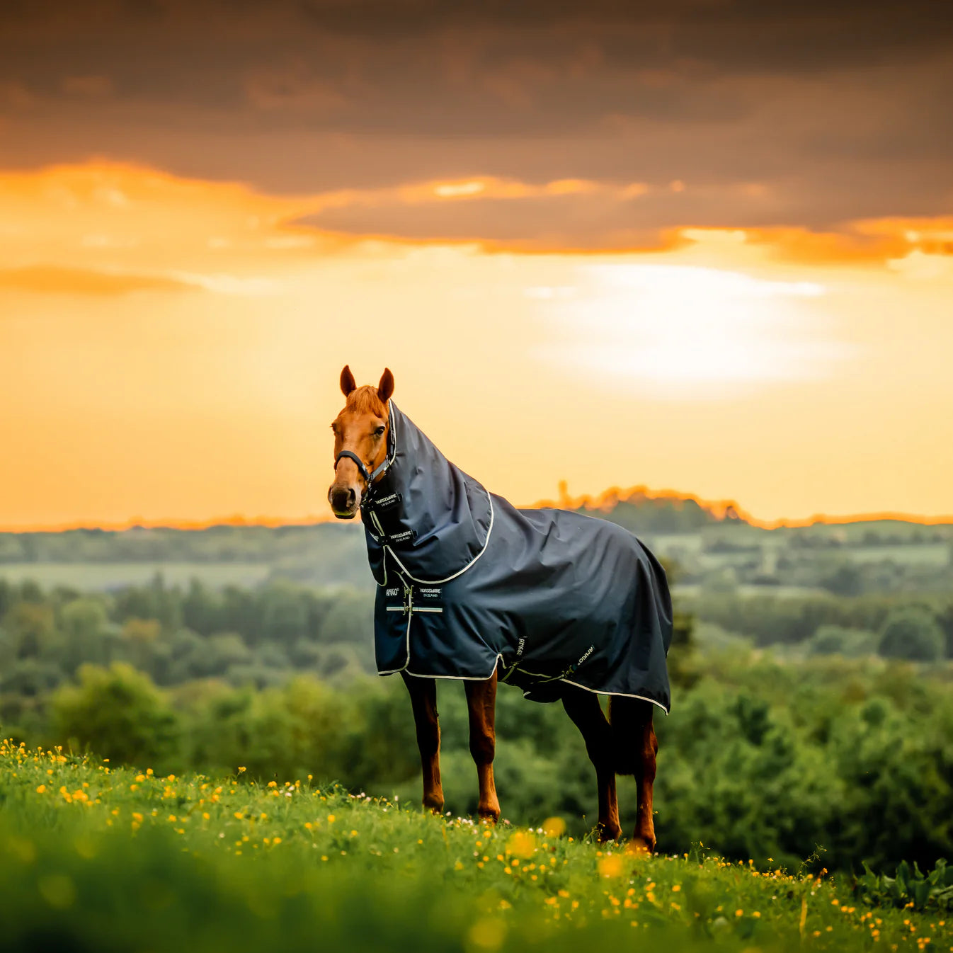 Amigo Ripstop 900D Plus Turnout (100g Light) - Black Friday Sales