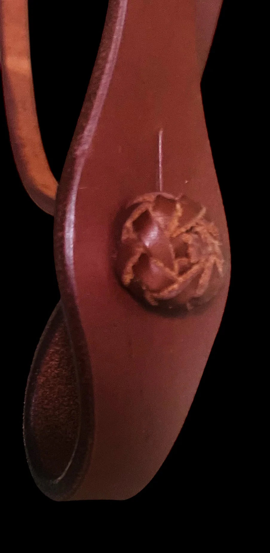Smooth Like Cactus - Rambling Rose Bridle | Horse Supplies - Bridles | Saddleworld Ipswich