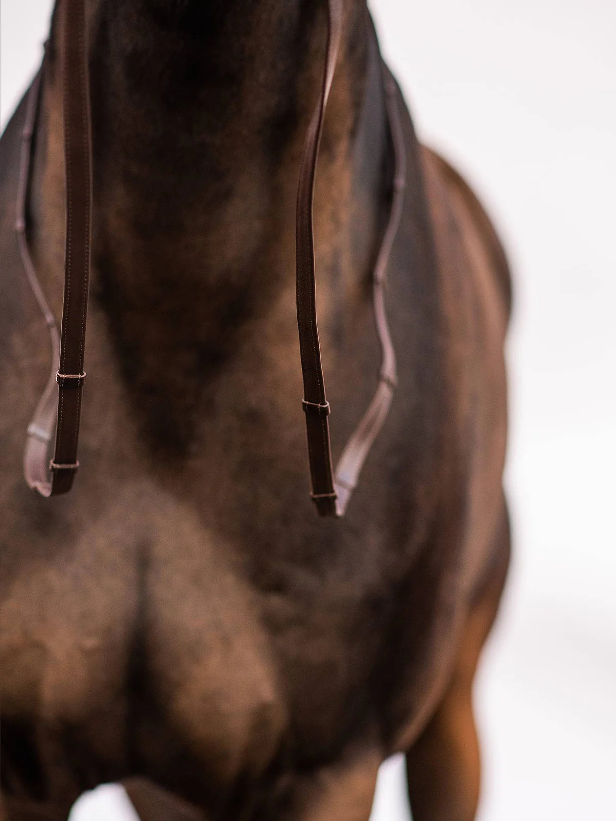 PS of Sweden Reins Softy Super Grip Reins