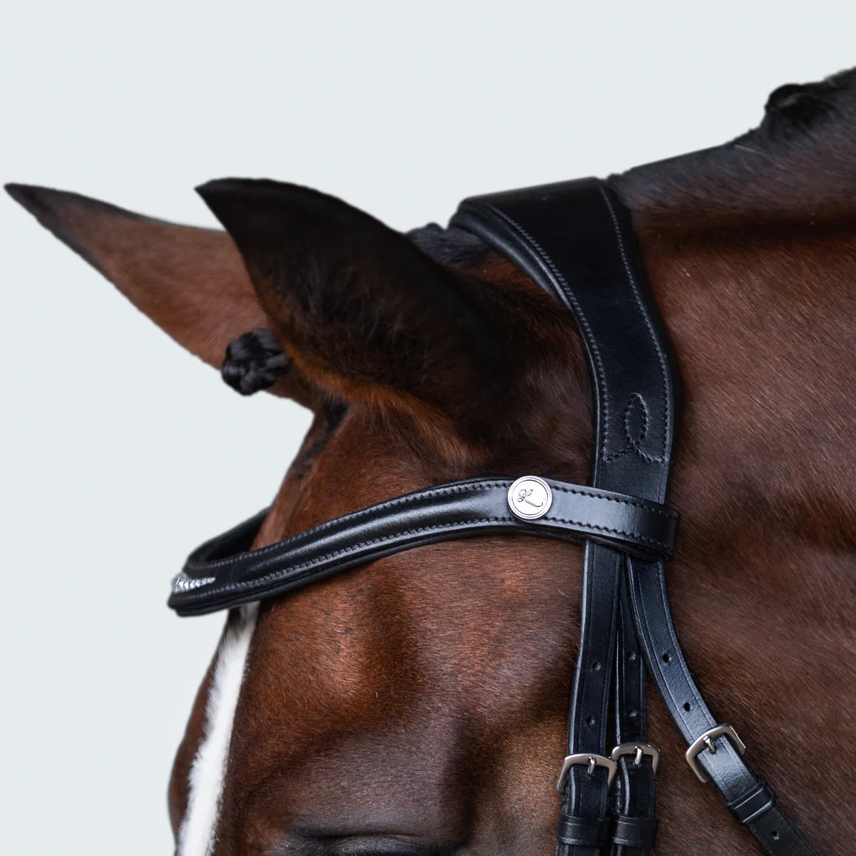 Lumiere Stella Bridle